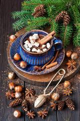 Mug with hot chocolate  for christmas holiday