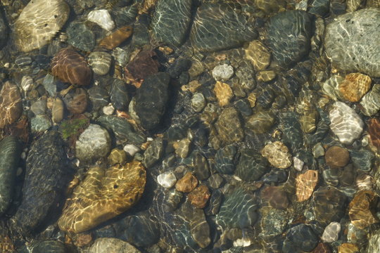 Image of the bottom of a mountain river.
