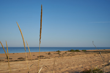 Image of a sandy beach.