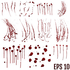 Set of various dripping blood splashes,collection of dripping drops and trail blood paint splatters on white background,,dripping blood seamless,Halloween blood vector concept