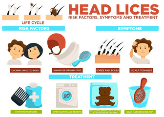 Head lice risk factors symptoms and treatment poster vector