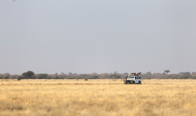 Fototapeta premium 4x4 Vehicle in the Kalahari desert
