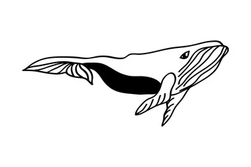 Whale icon in hand drawn style.