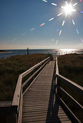 Steg Nothafen Prerow, gegen die Sonne fotografiert