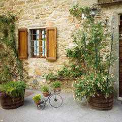 Fototapeta na wymiar Beautiful flowers and bushes in front of stone wall in a small village of medieval origin. Volpaia, Tuscany, Italy.