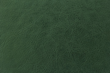 Dark green elegance leather texture for background with visible details 