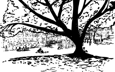 Park and a big tree in hand drawn style.