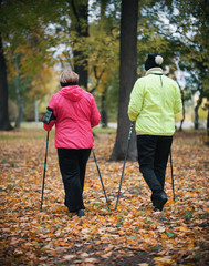 Two elderly women are involved in Scandinavian walking in the park in off-road in the middle of the trees. Back view