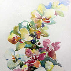 Abstract bright colored decorative background . Floral pattern handmade . Beautiful tender romantic bouquet of orchid spring flowers , made in the technique of watercolors from nature.