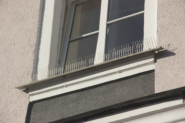 part of the facade of the building with plastic spikes against pigeons. the design does not allow...