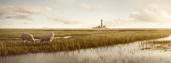 Wiesenlandschaft mit Schafen und Leuchtturm an der Nordsee