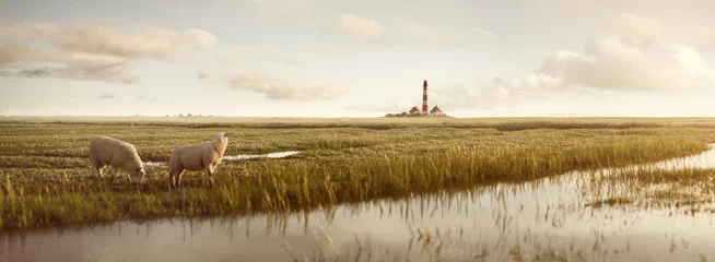 Poster Im Rahmen Wiesenlandschaft mit Schafen und Leuchtturm an der Nordsee © photoschmidt