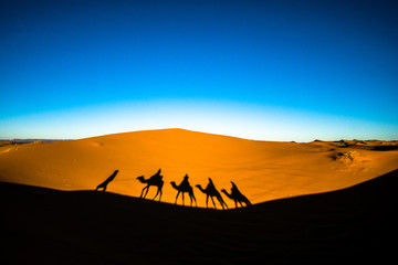 Wide angle shot of people riding camels in caravan over the sand dunes in Sahara desert with camel shadows on a sand