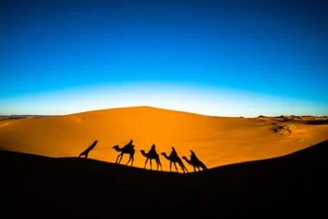  Wide angle shot of people riding camels in caravan over the sand dunes in Sahara desert with camel shadows on a sand © Marko Rupena