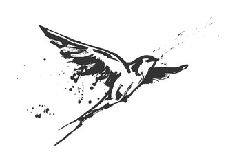 flying swallow bird - obrazy, fototapety, plakaty