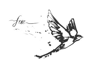 dynamic flying swallow bird - obrazy, fototapety, plakaty