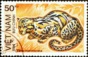 Marbled cat on vietnamese postage stamp
