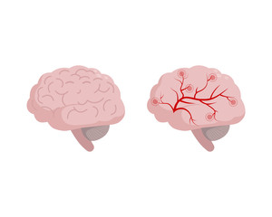 Healthy Brain icon isolated on white background, medical illustration in flat design. Cerebral circulation and spasm of cerebral arteries and veins supplying the brain, migraine, headache concept.