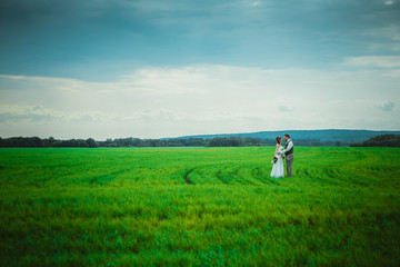 bride and groom stand on the background of the field