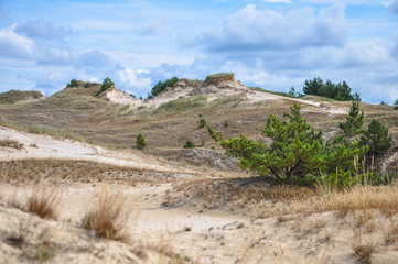 Moving dunes in the Slowinski National Park near the city of Leba, Baltic Sea Coast, Poland