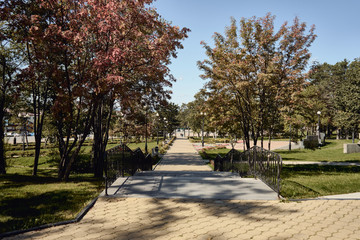 autumn in the park