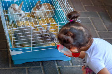 Cute little girl feeding rabbit on the farm. Toddler child give water to the animal from feeding...