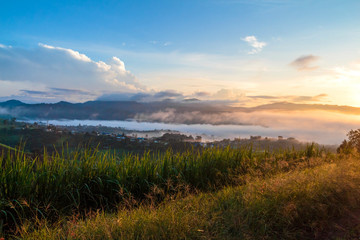 View of village and grass flowers covered in foggy during morning sunrise.