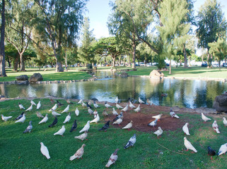 Hawaii Oahu Leahi Beach Park