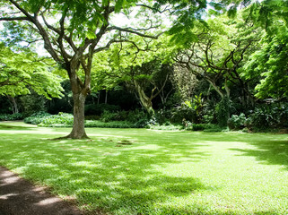Hawaii Waimea Valley