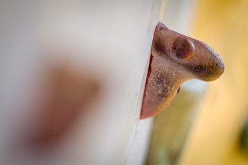 Teenage Boy Training On Climbing Wall