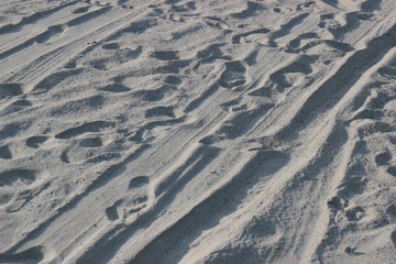 tracks in sand