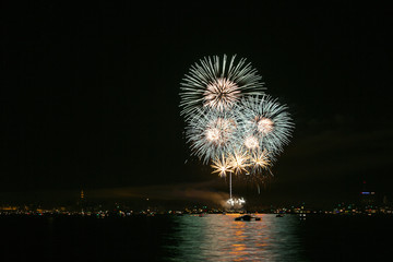 Feuerwerk vom Seenachtsfest in Konstanz 2016