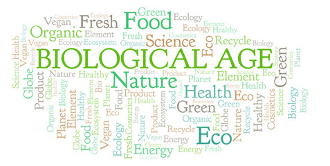 Fototapeta premium Biological Age word cloud.