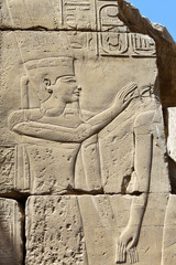 Hieroglyphs at Karnak Temple in Egypt