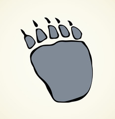 Traces of a bear. Vector drawing