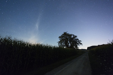 Sternenhimmel am Bommerweiher bei W&auml;ldi