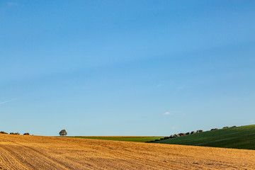 Fototapeta premium Early morning light over South Downs farmland