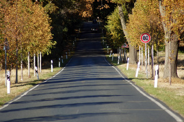 Landstraße durch den Wald