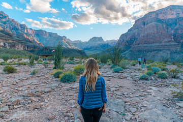 View of Grand Canyon