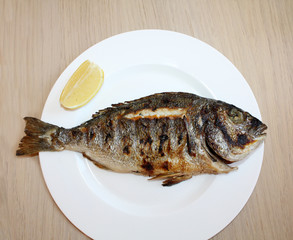Dorada fish grilled