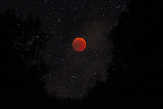 Luna Rossa