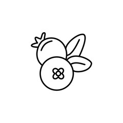 Black & white vector illustration of cranberry. Line icon of fresh berries. Vegan & vegetarian food. Health eating fruit ingredient. Isolated object