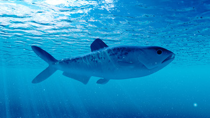 Fototapeta premium 3d rendered illustration of an enchodus