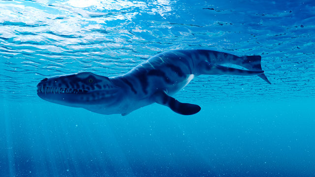 3d rendered illustration of a dakosaurus