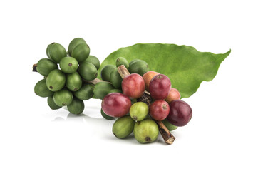 fresh coffee beans isolated on white background