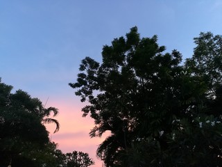 evening sky