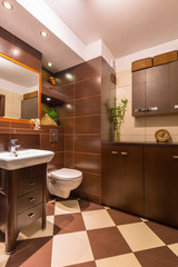 Modern brown bathroom interior