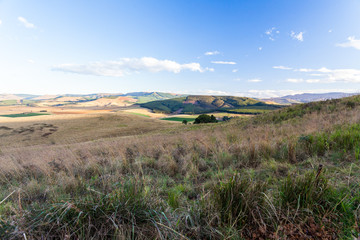 The Dargle valley in Kwa-Zulu Natal is a fertile place with many farms in the area. KZN, South...