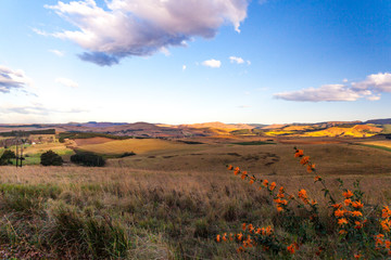 The Dargle valley in Kwa-Zulu Natal is a fertile place with many farms in the area. KZN, South Africa.	