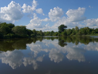 Fototapeta na wymiar Reflection of a Tree Landscape in a Lake